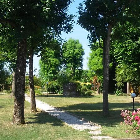 B&B La Vigna di Federico Rubano Esterno foto